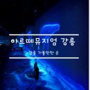 경포호수 3 | [강릉여행] 산책 하기 좋은 경포호수광장 지나 아르떼뮤지엄으로!