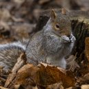 삼성아들...엘지아들...딸딸딸...드라마...슈퍼스타케이...말말말 이미지