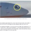 "최후의 순간까지 손 뻗은 기장님"…마지막 모습에 누리꾼 '울컥' 이미지