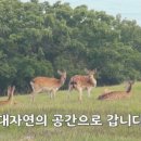 힐링타임민박 이미지