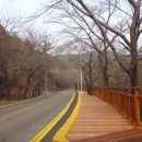 달맞이길 이미지