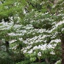 선행은 영원히 기억된다/6월22일 주일설교 이미지