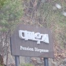 가평 계곡 근처 제트스파와 대형수영장이 있는 펜션 &#39;디파우제&#39; 후기