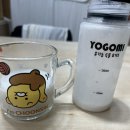 요고미 네이버블로그