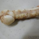 까치네 이미지