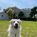 제주이즈 이미지