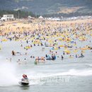 명사십리해수욕장 데일리저널