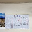 청주 삼겹살 거리 동호곱창후기🍲 순대국밥으로 즐기는 8천원의 행복