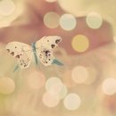 생명나무 한의원 이미지