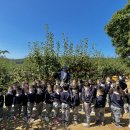 배성모농장 이미지