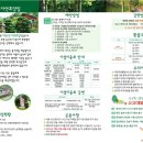 대운산 자연휴양림 캠핑장 이미지