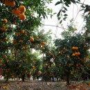 종기농장 이미지