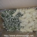 고흥풍양중학교 이미지