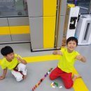 용인대국가대표태권도 이미지