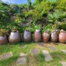 달백스테이 이미지