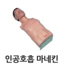 유니(uni) 이미지