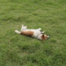 순천풋살장민박 이미지