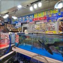 안면도수산시장(안면도장터) 이미지