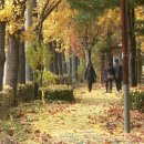 가마산로49길 이미지