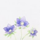 패브릭아트수채화 이미지