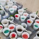 책+식물놀이터 이미지