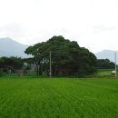 삼산게이트볼장 이미지
