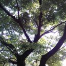 기량축산 이미지