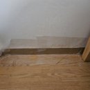 윤쌤동물병원 이미지