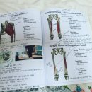 진복싱앤(PT) 이미지