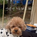 써니힐즈캠핑장 이미지