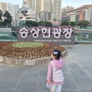 행복의 기원 | 부산 송상현광장 "부산 연등회 전통문화축제"│아이와 다녀온 후기