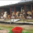 KIM&KIM FARM 이미지