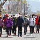아라길(작은영화관 옆) 쿠키뉴스