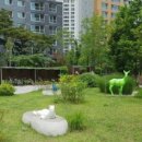 강남대림공인중개사사무소 이미지