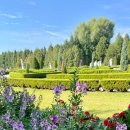 터널게이트(가) 이미지