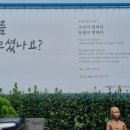 3.1운동비 이미지