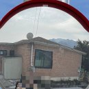 송백다방 이미지