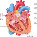 통증 부위로 알아보는 건강 적신호 이미지