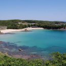 (유)진렌터카 이미지