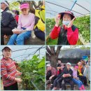 명훈농장 이미지