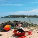 제주여행2일차: 피크닉인 제주/해녀컨셉 스냅촬영 나나스냅/ 제주맘모아외과의원/ 숙성도