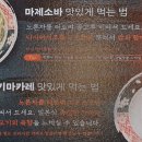 돈카춘 - 파주시 아동로 4 | 돈카춘