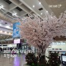 [멘토를 찾아서 003] 현직 디벨로퍼에게 배우는 &#39;꼬마빌딩 건물주&#39; 노하우-3주차 이영환,홍성준 대표
