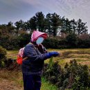 나래목장 이미지