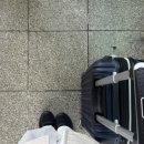 호텔야자순천조례점 | [🇰🇷한국 #8] 더할 나위 없이 행복했던 순천 그리고 여수