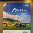 제주삼다수도야지