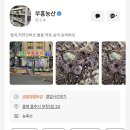 부흥농산 이미지