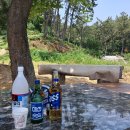 팔금농장 이미지