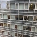 물푸레생태교 앞 횡단보도 | 10월 삿포로 자유여행･3일차 | 이치란 라멘, 삿포로 빈티지샵 JAM, NELD COFFEE, 가라쿠 스프카레...