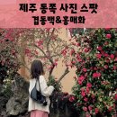 선동1리경로당 이미지